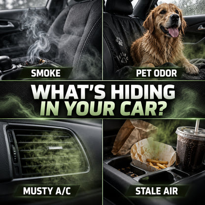 Long-Lasting Premium Car Air Freshener – 3 Signature Scents