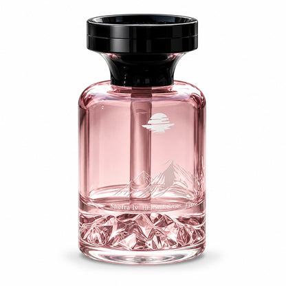 Long-Lasting Premium Car Air Freshener – 3 Signature Scents