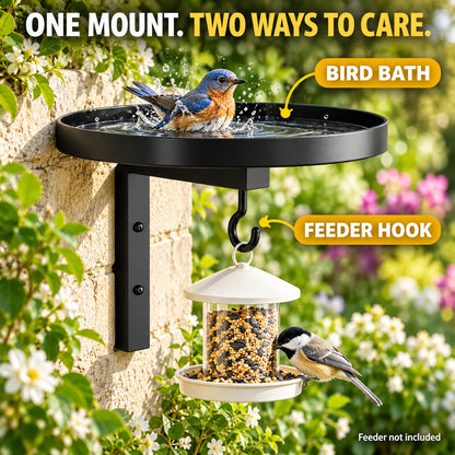 2-in-1 Wall-Mounted Bird Bath & Feeder Hook
