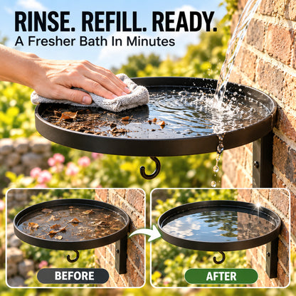 2-in-1 Wall-Mounted Bird Bath & Feeder Hook