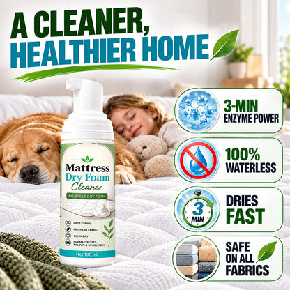 🆂Auvirelo™ ACTIVE-ENZYME NO-RINSE MATTRESS DRY CLEANER