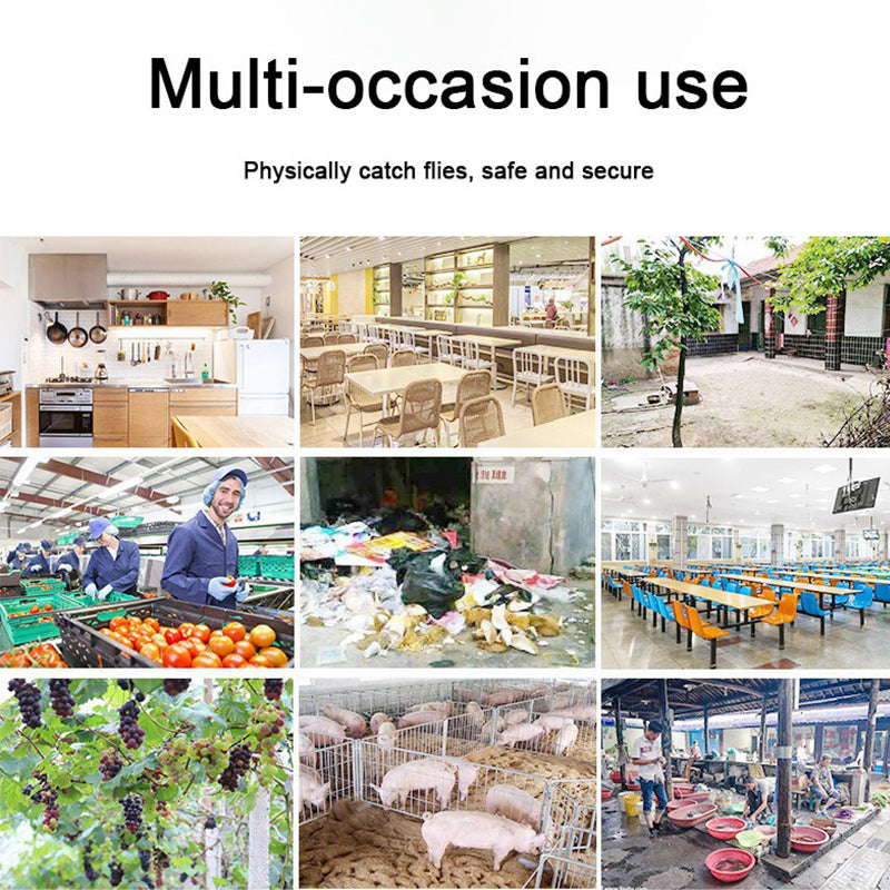 🌿🪰Chemical-Free Reusable Non-Electric Fly Trap for Kitchen & Patio