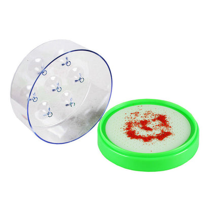 🌿🪰Chemical-Free Reusable Non-Electric Fly Trap for Kitchen & Patio
