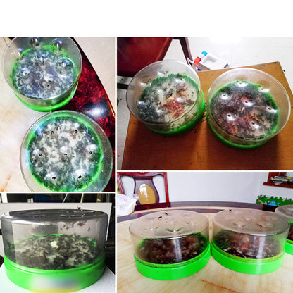 🌿🪰Chemical-Free Reusable Non-Electric Fly Trap for Kitchen & Patio